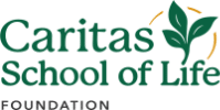 Distress Centres of Greater Toronto Logo
